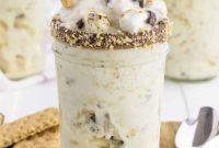 Homemade S’mores Blizzard Bliss