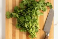 Properly Washing Cilantro