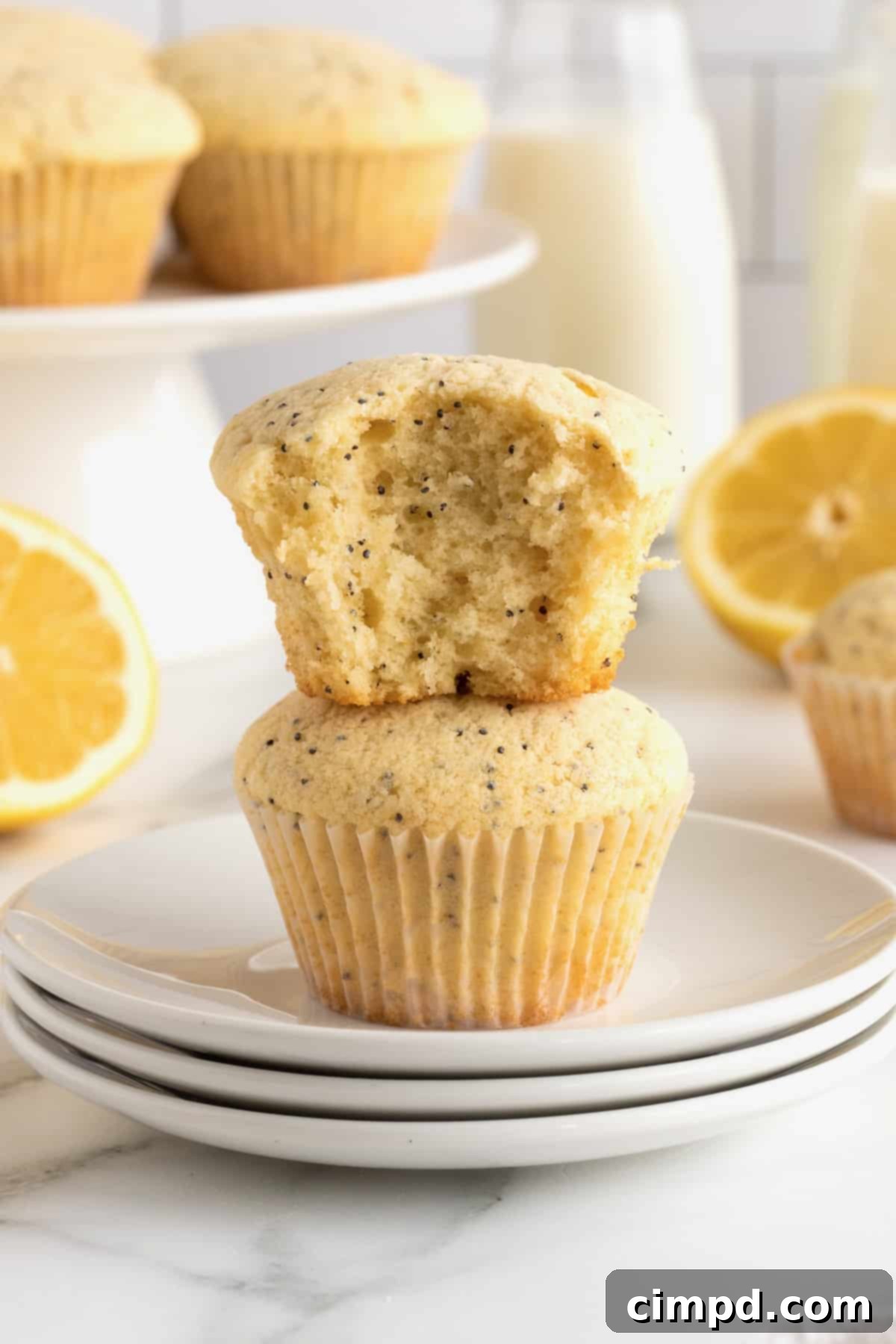 Zesty Lemon Poppy Seed Delights 1 featured 29729