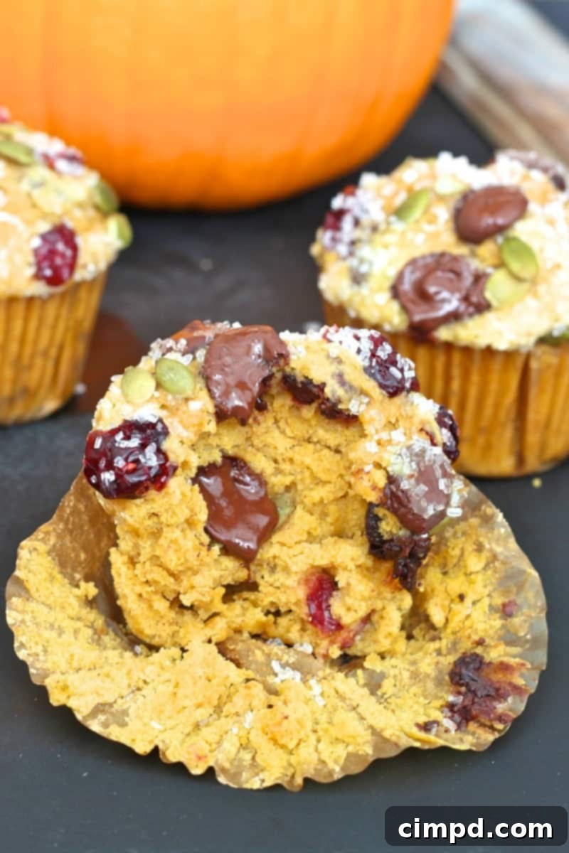 Harvest Ruby Cocoa Muffins 1 featured 3305