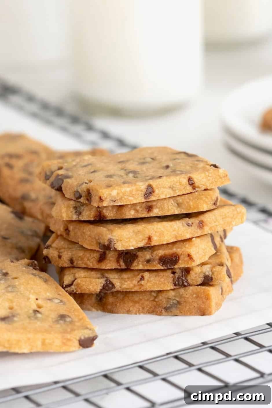 Crispy Chocolate Chip Snaps 1 featured 40179