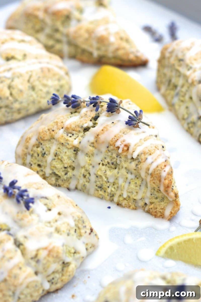 Bright Lavender Lemon Poppy Scones 1 featured 7043
