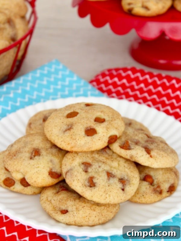 Irresistible Cinnamon Chip Snickerdoodles 1 featured 717