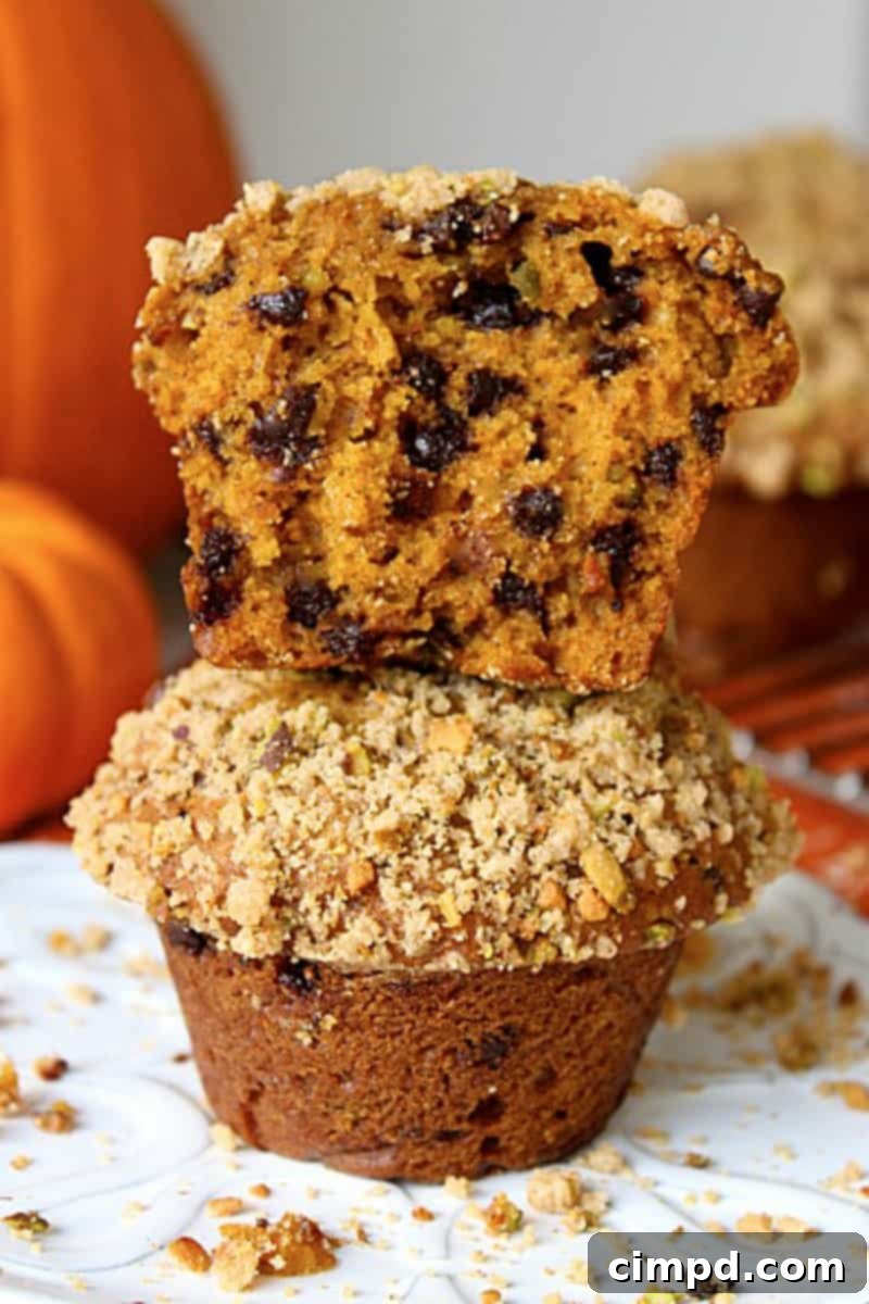 Gourmet Pumpkin Pistachio Chocolate Chip Muffins 1 featured 783