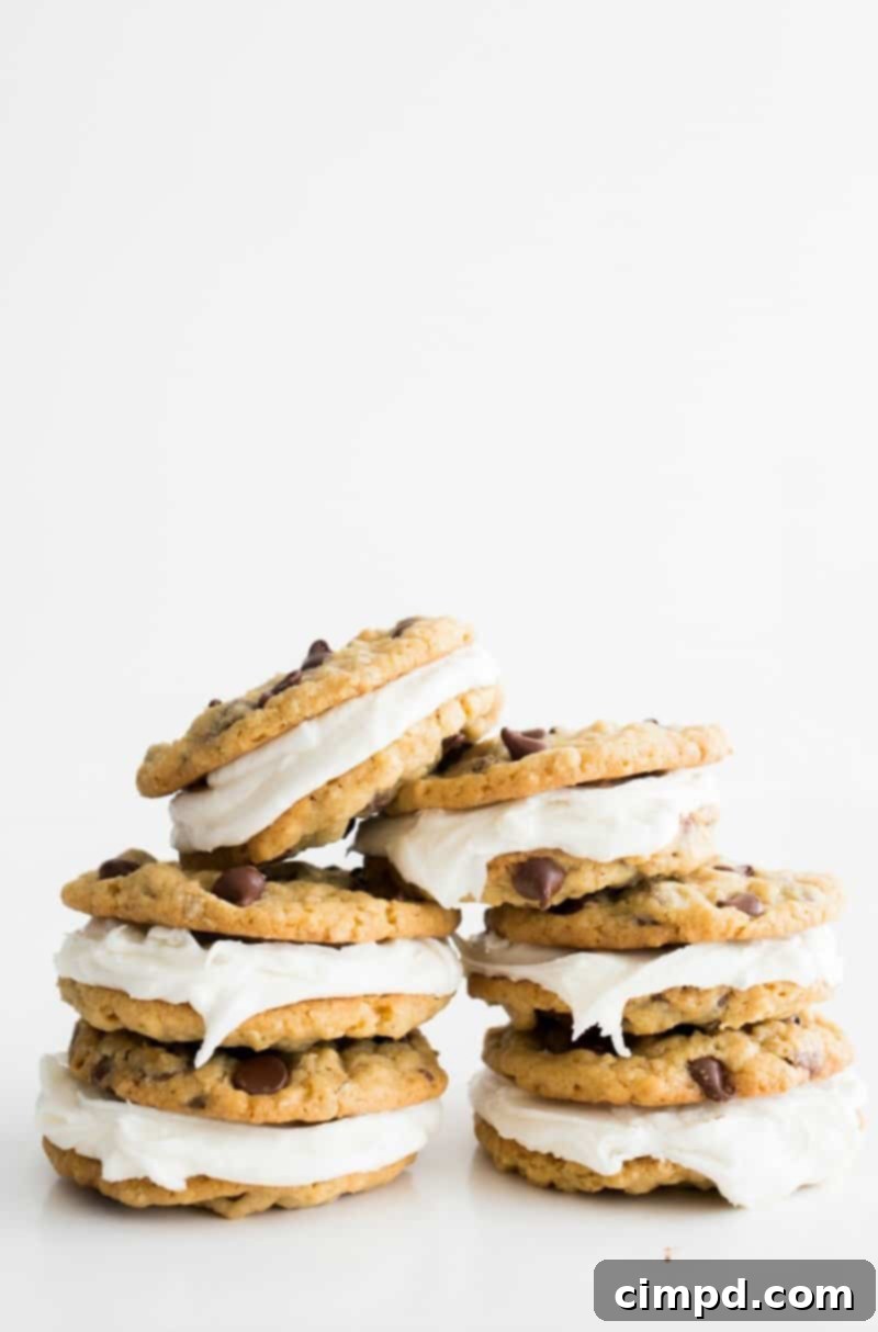 Irresistible Choc-Oat-Chip Whoopie Pies 1 featured 7952