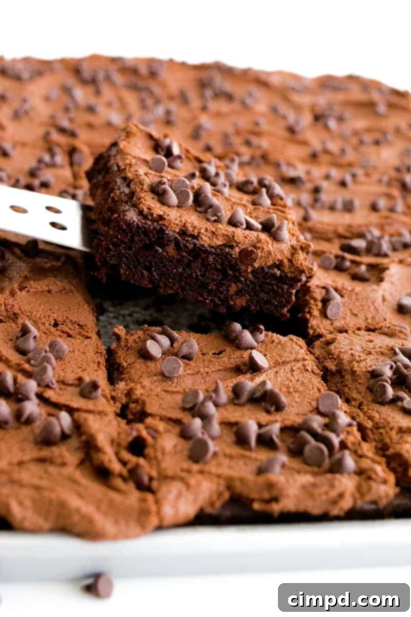 Double Chocolate Chip Sheet Cake 1 featured 8175