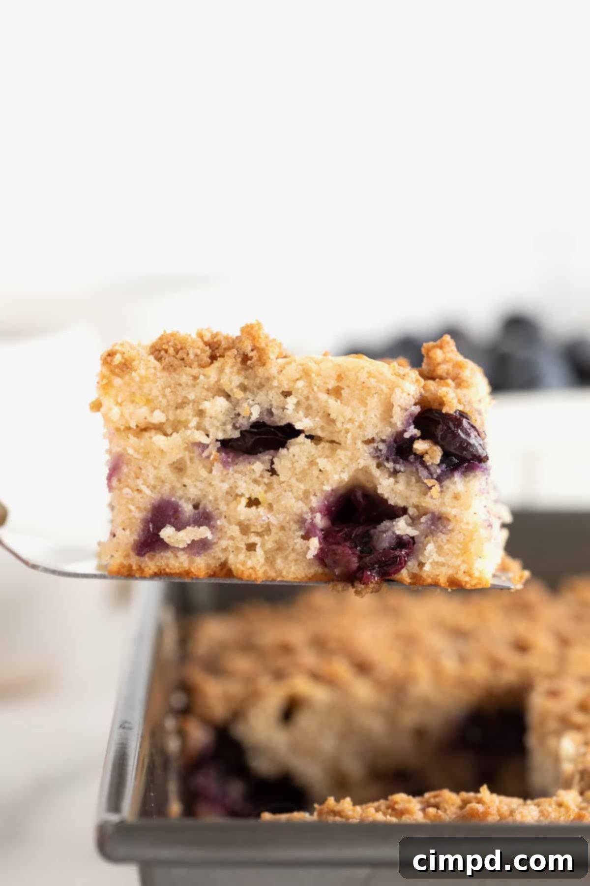 Blueberry Burst Greek Yogurt Crumb Cake 3 A slice of blueberry coffee cake on a spatula.