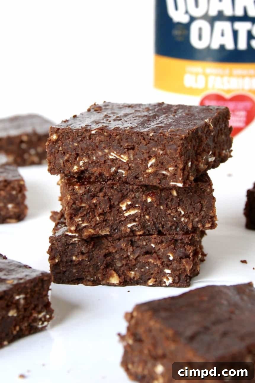 Daybreak Brownie Bliss 2 Breakfast Brownies