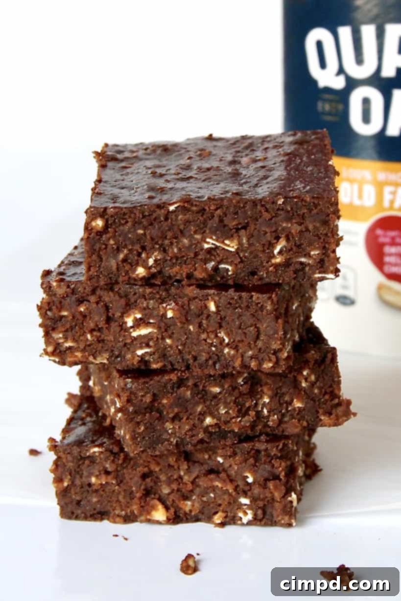 Daybreak Brownie Bliss 6 Breakfast Brownies