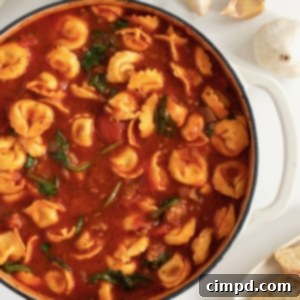 Tuscan Tortellini Soup by The BakerMama
