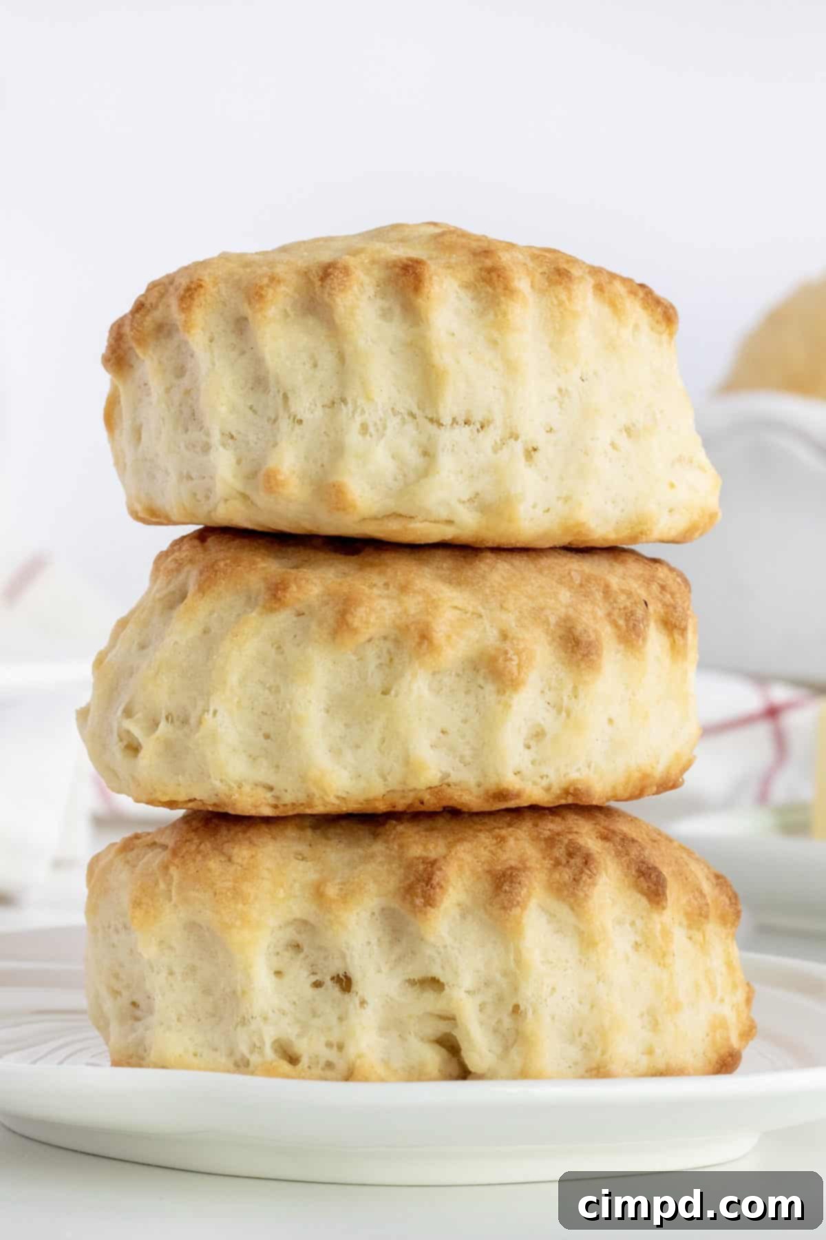 Homestyle Buttermilk Biscuits by The BakerMama