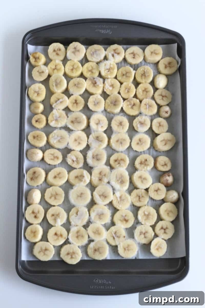 Two-Ingredient Banana Chocolate Chip Ice Cream Bites