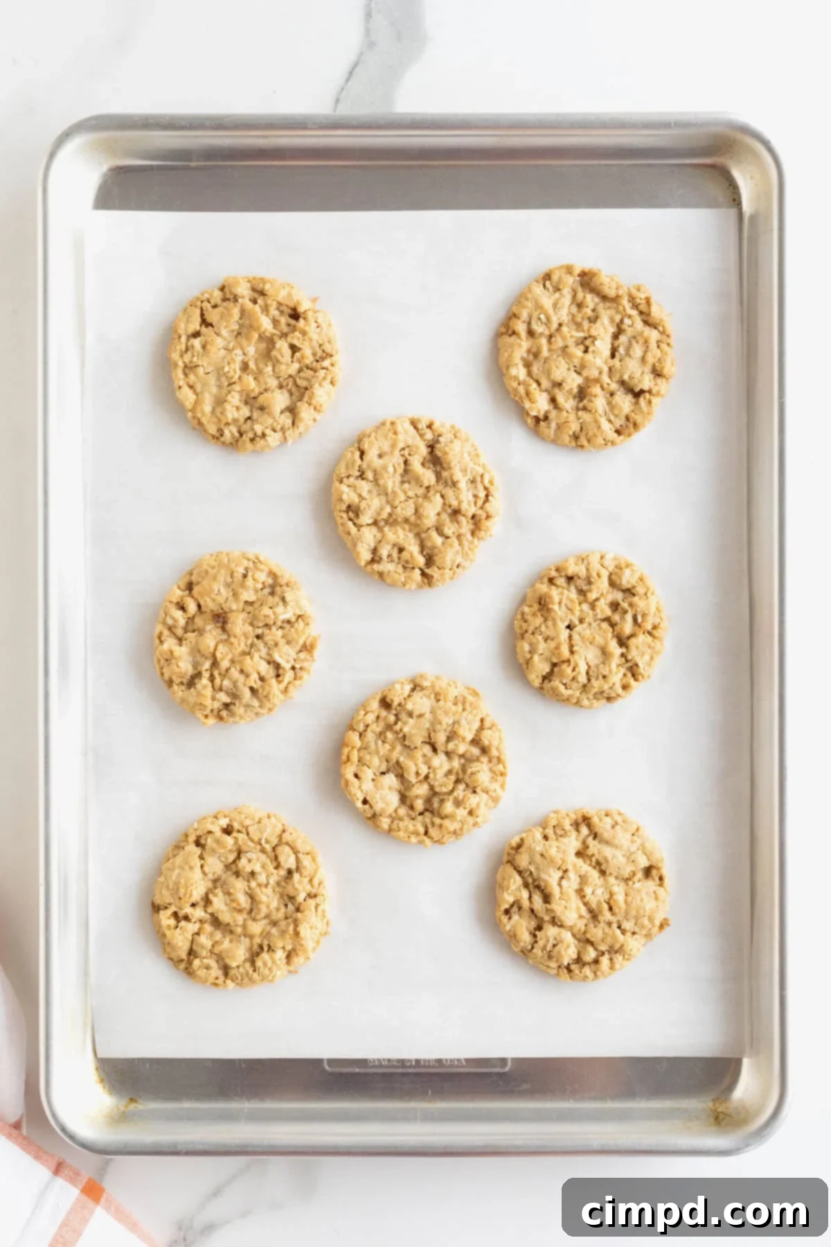 Spiced October Treats 8 Eight freshly baked October Cookies, golden brown and perfectly formed, on a parchment lined aluminum baking sheet, cooling on a white marble counter.