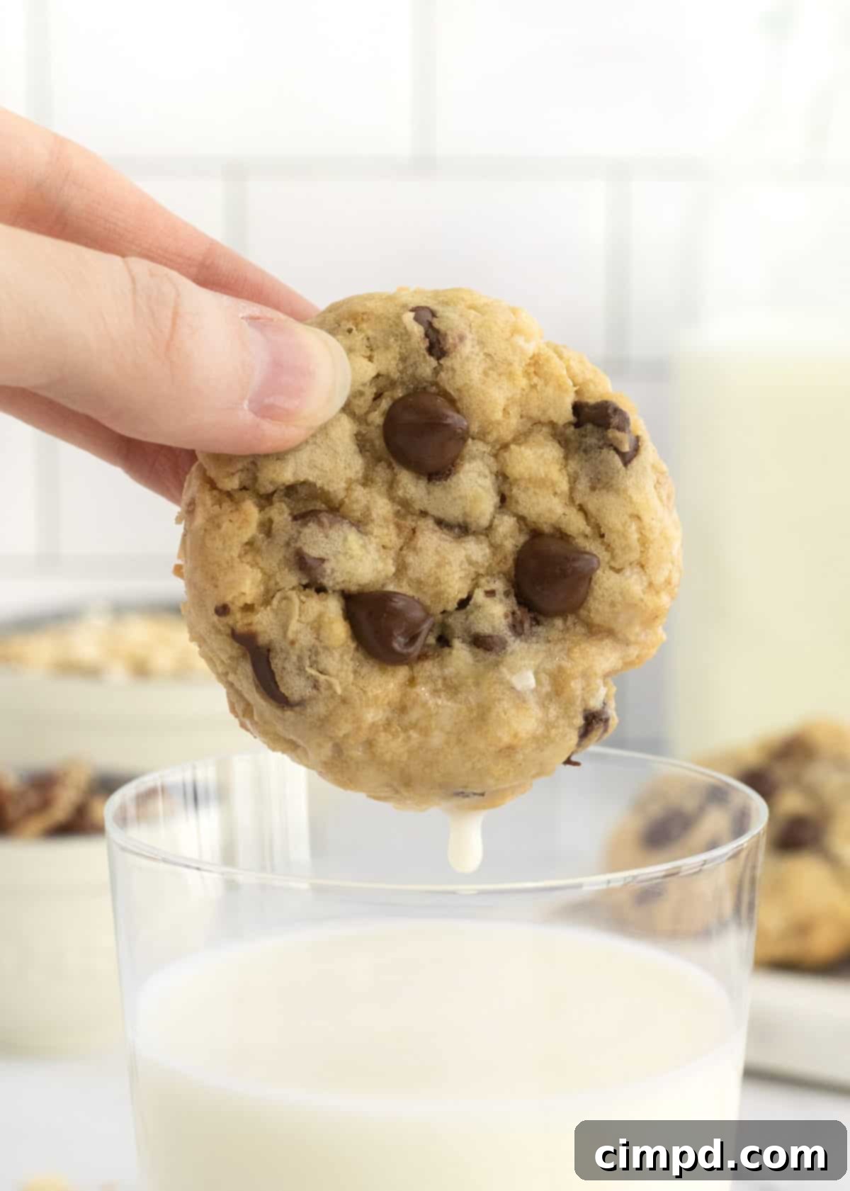 Close-up of freshly baked Coconut Pecan Chocolate Chip Oatmeal Cookies, still warm