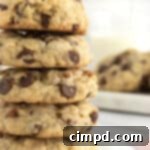 Coconut Pecan Chocolate Chip Oatmeal Cookies by The BakerMama