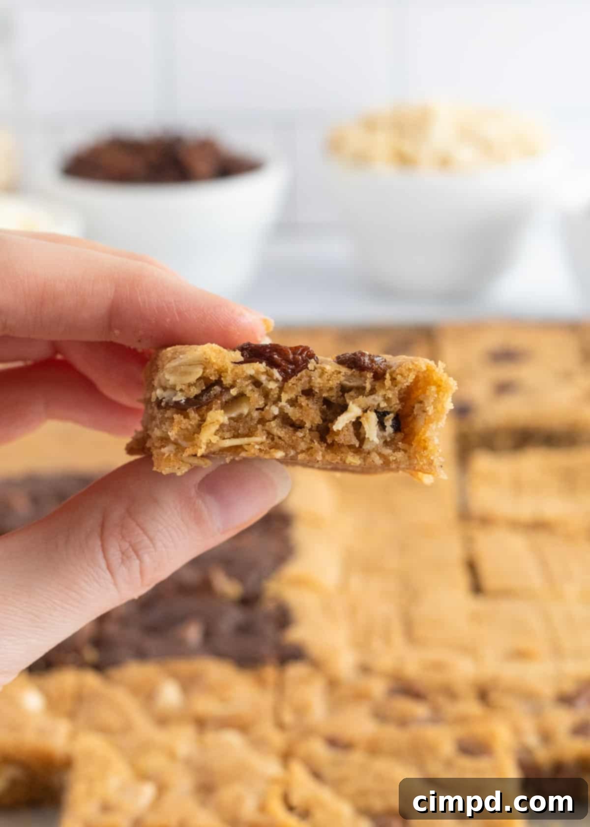 A vibrant display of the six raw cookie dough sections pressed into a sheet pan, each clearly defined with its unique toppings, ready for baking.