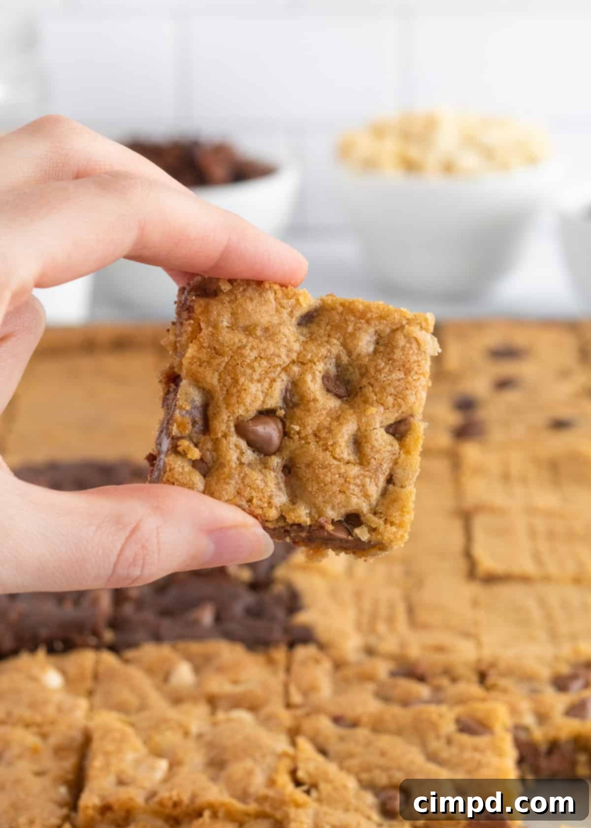 An overhead shot of the baked 6-in-1 Sheet Pan Cookie Bars, perfectly cut into individual squares, highlighting the appealing presentation of varied flavors.