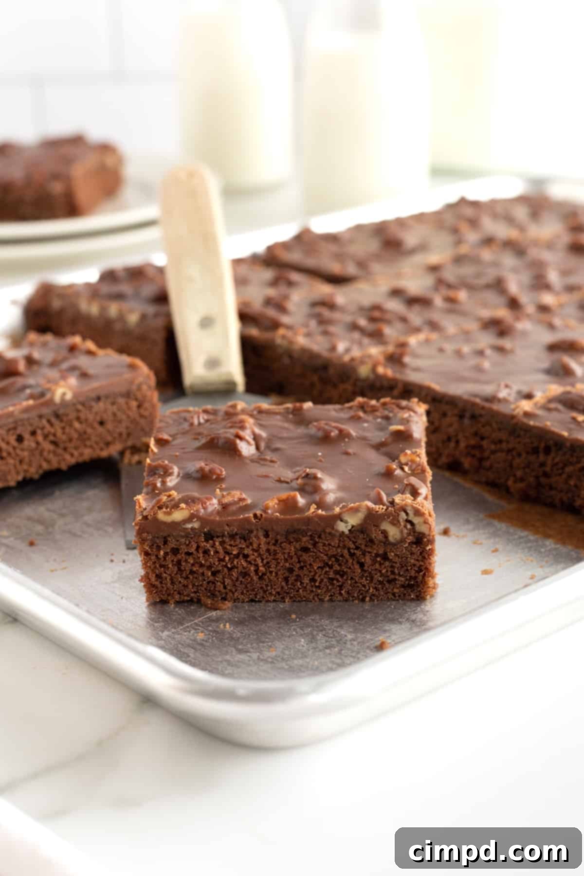 Chocolate Sheet Cake by The BakerMama