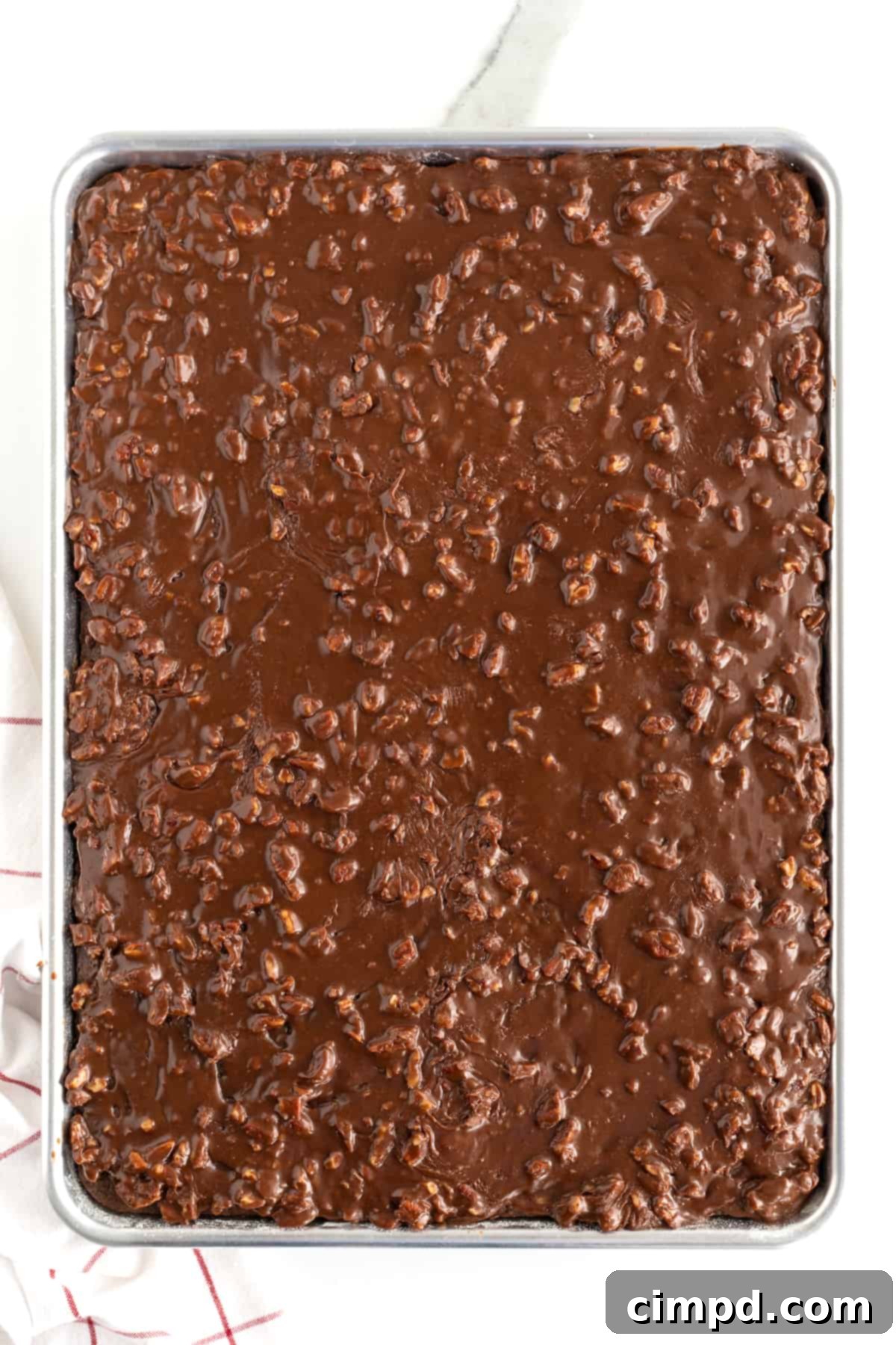 Chocolate Sheet Cake by The BakerMama