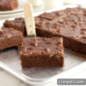 Chocolate Sheet Cake by The BakerMama