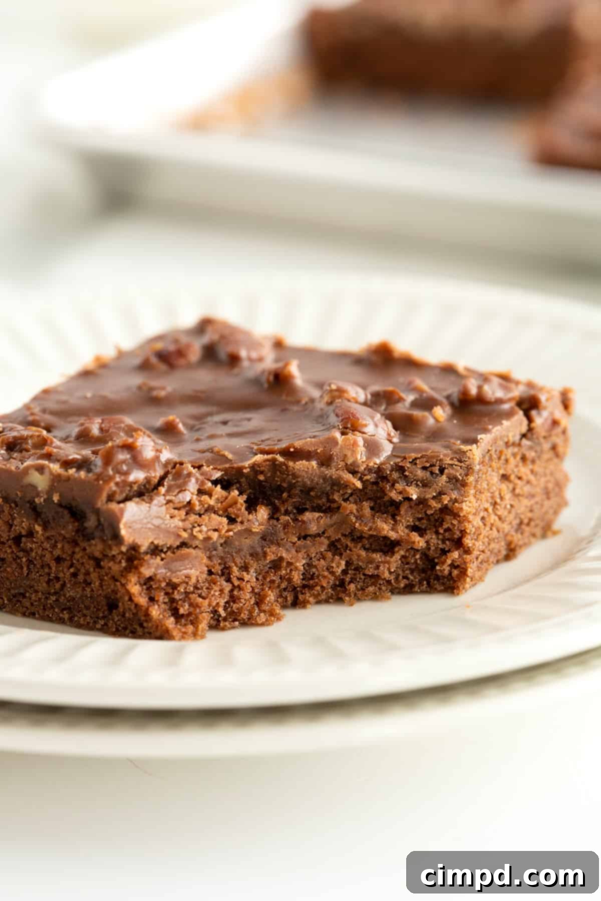 Chocolate Sheet Cake by The BakerMama