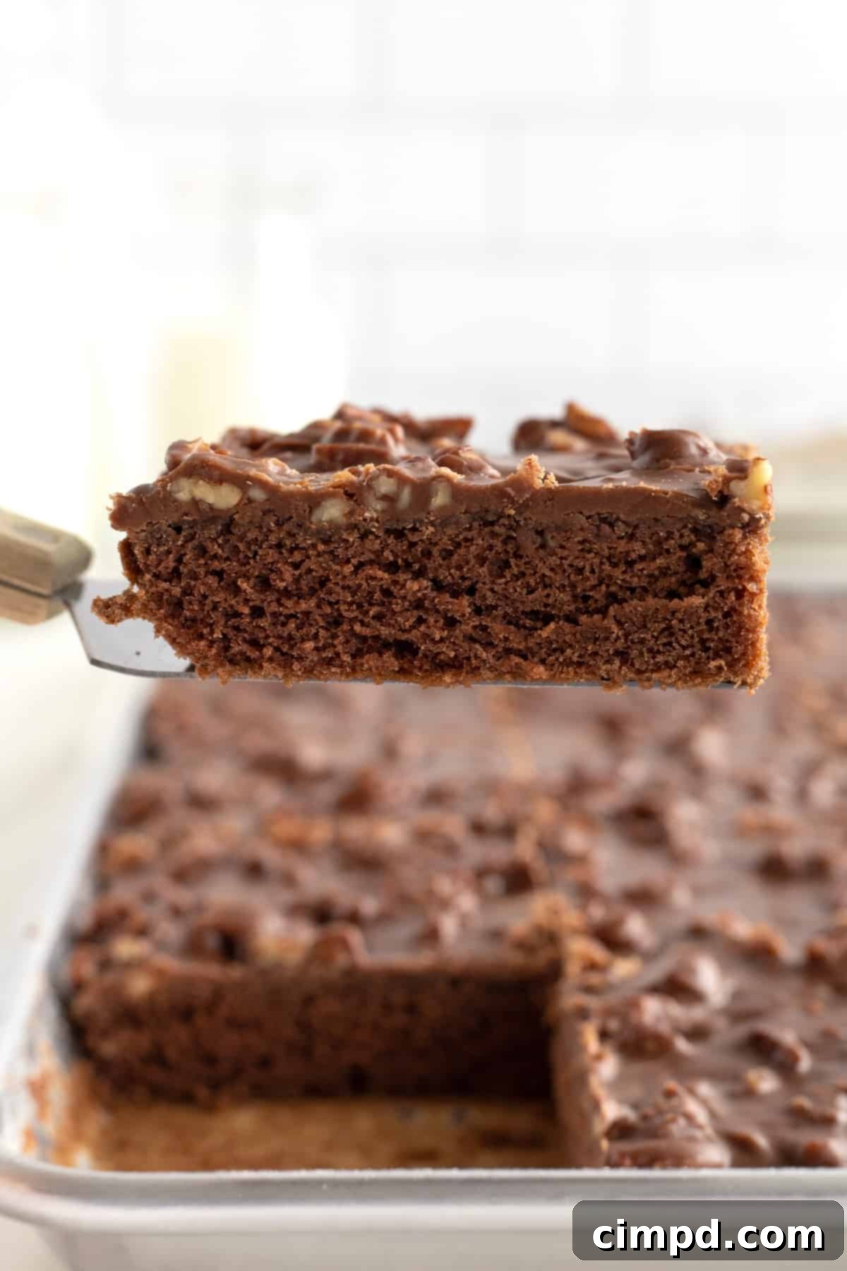 Chocolate Sheet Cake by The BakerMama