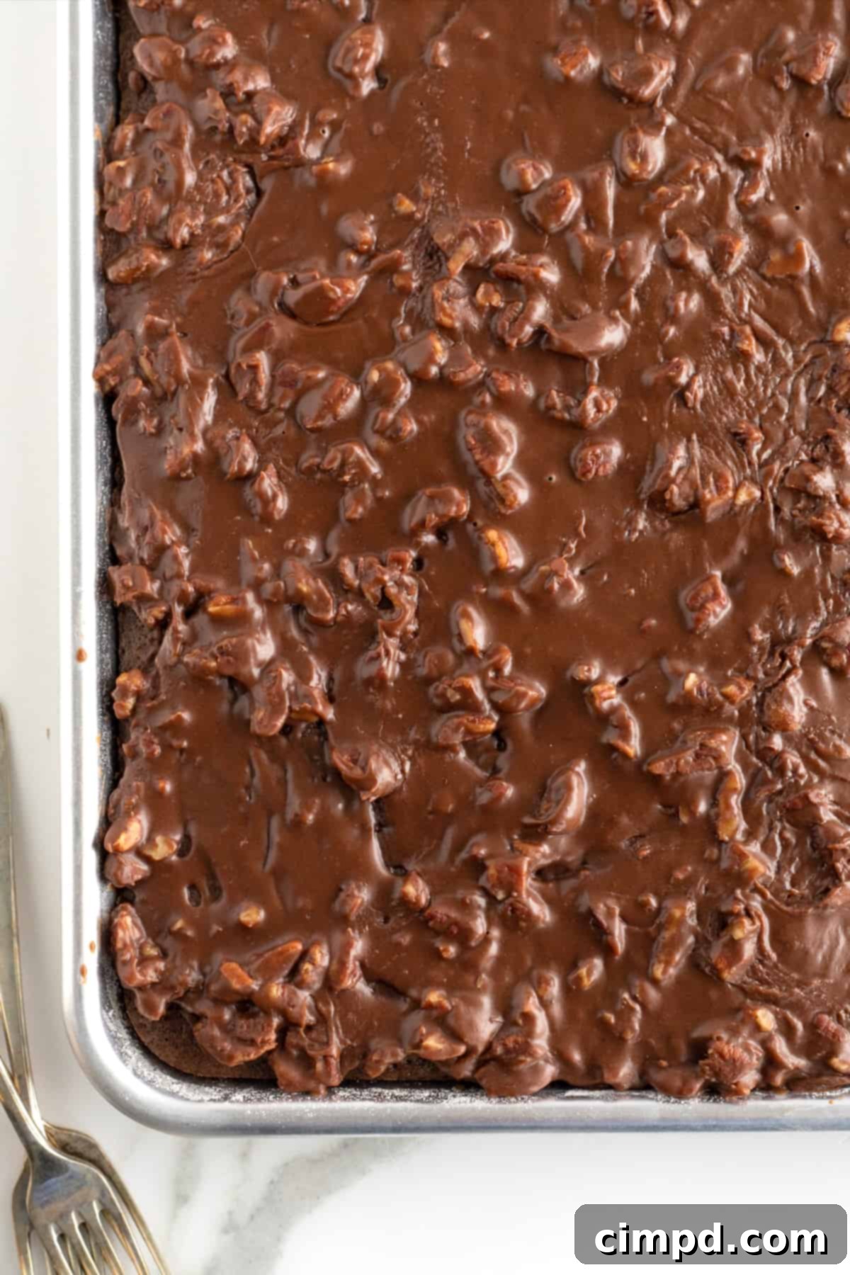 Chocolate Sheet Cake by The BakerMama