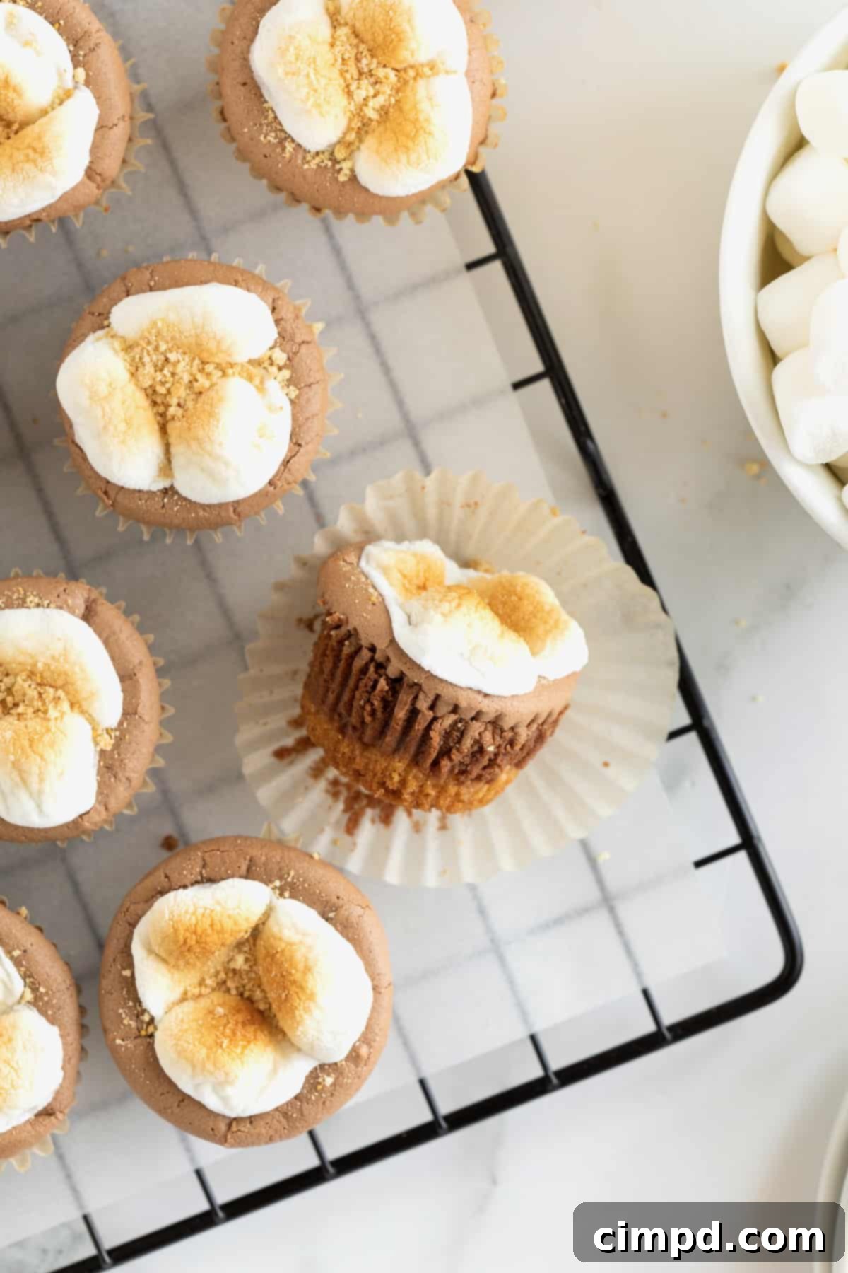 Bite sized s'mores cheesecakes with a toasted marshmallow top on a wire cooling rack.