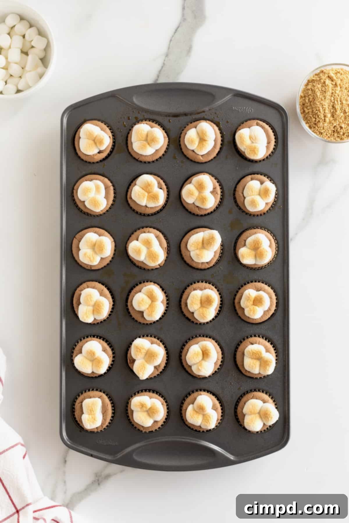 Bite sized S'mores cheesecake in a mini muffin tin. 