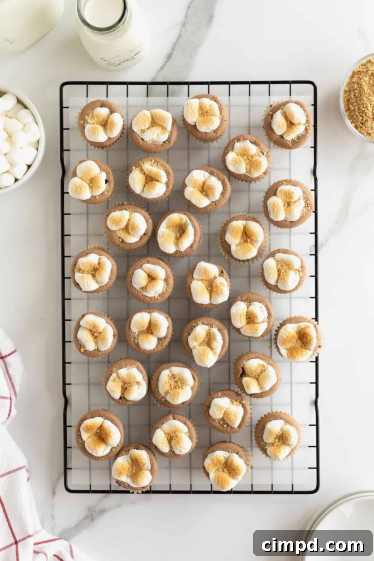 Bite sized s'mores cheesecakes with a toasted marshmallow top on a wire cooling rack.