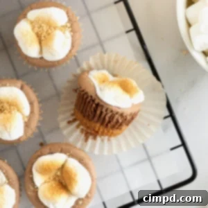 Bite sized s'mores cheesecakes with a toasted marshmallow top on a wire cooling rack.