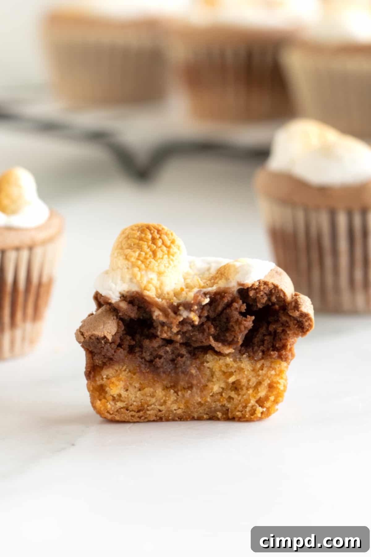 A bite out of a miniature s'mores cheesecake.