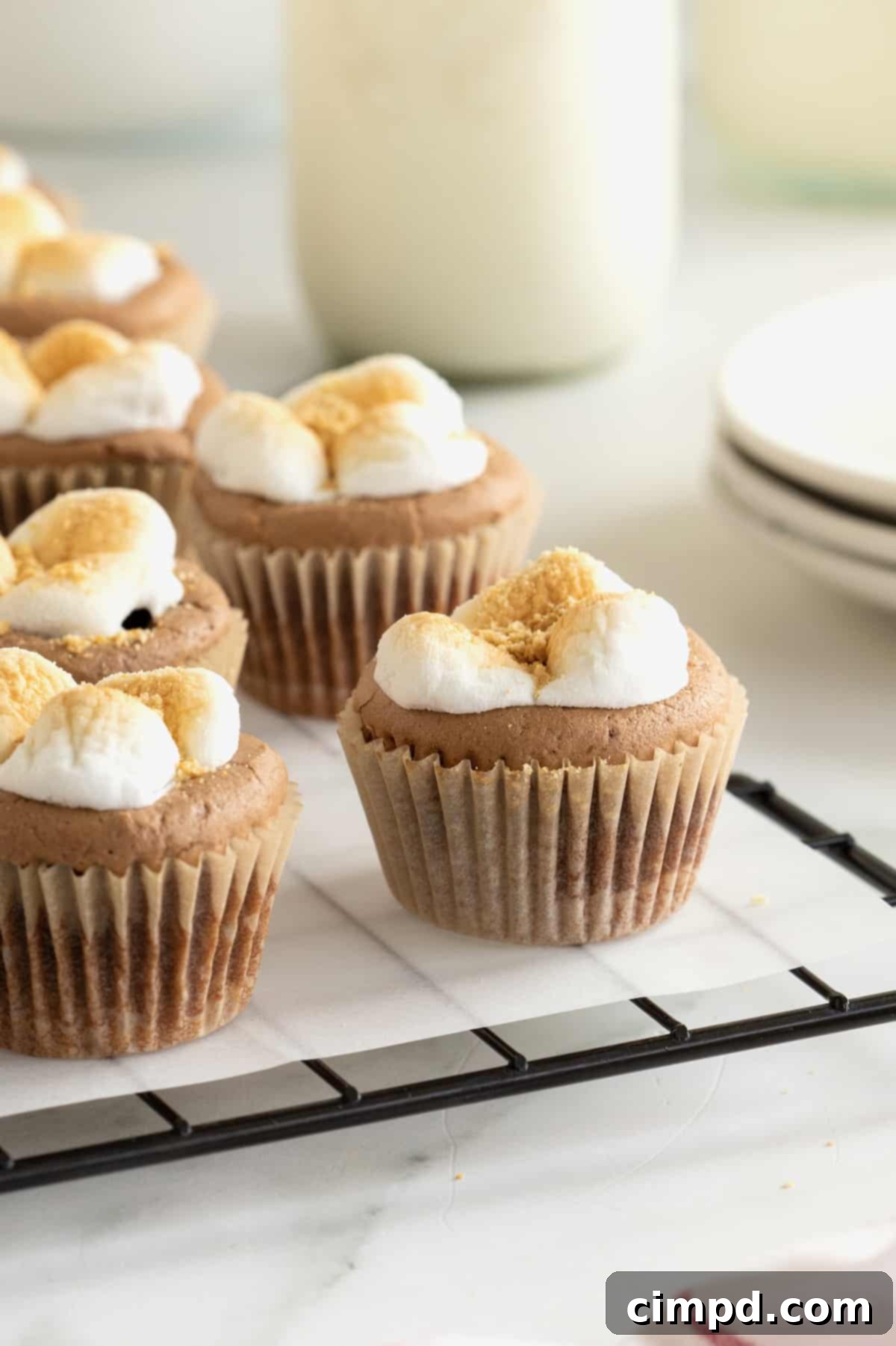 Bite sized s'mores cheesecakes with a toasted marshmallow top on a wire cooling rack.