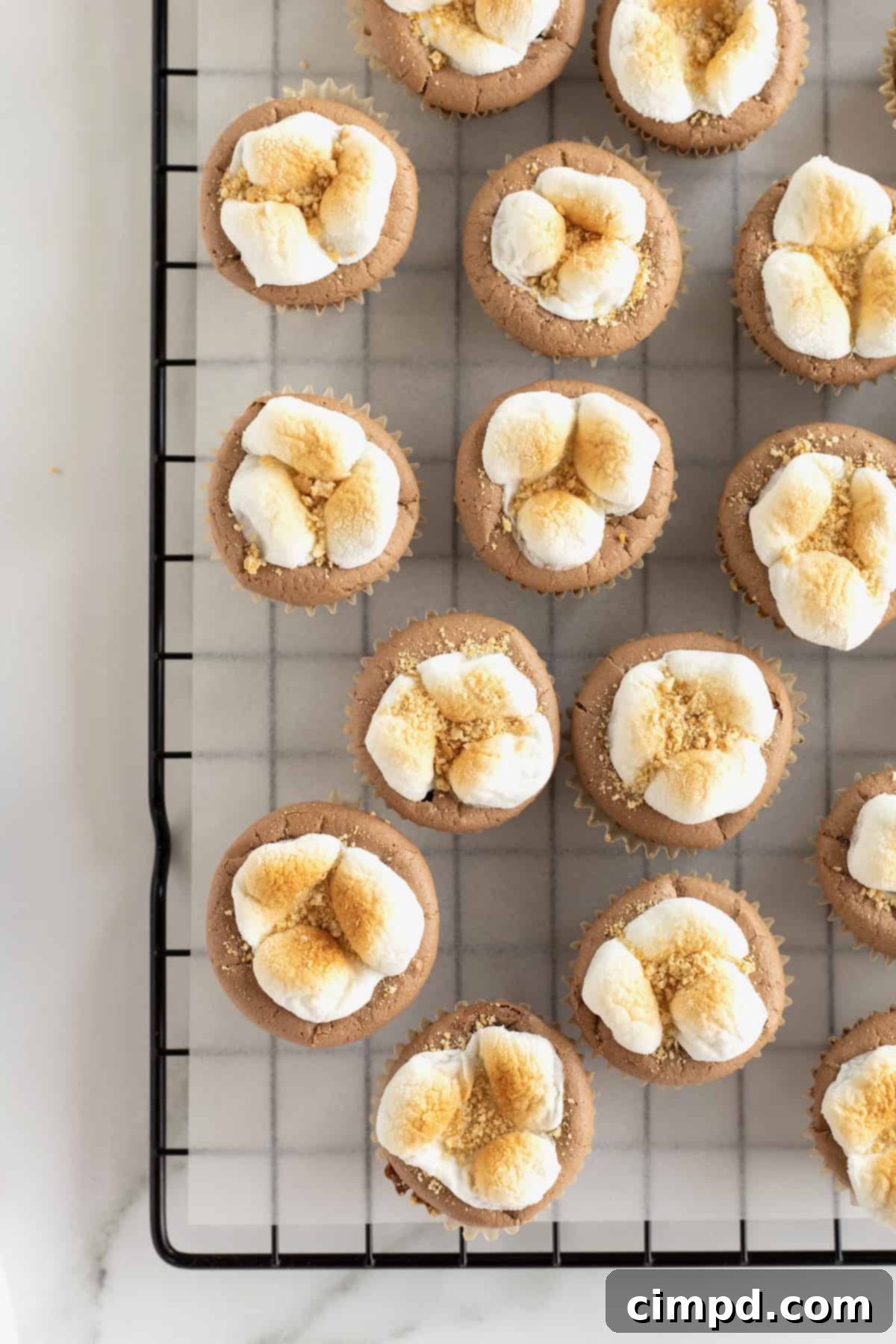 Bite sized s'mores cheesecakes with a toasted marshmallow top on a wire cooling rack.