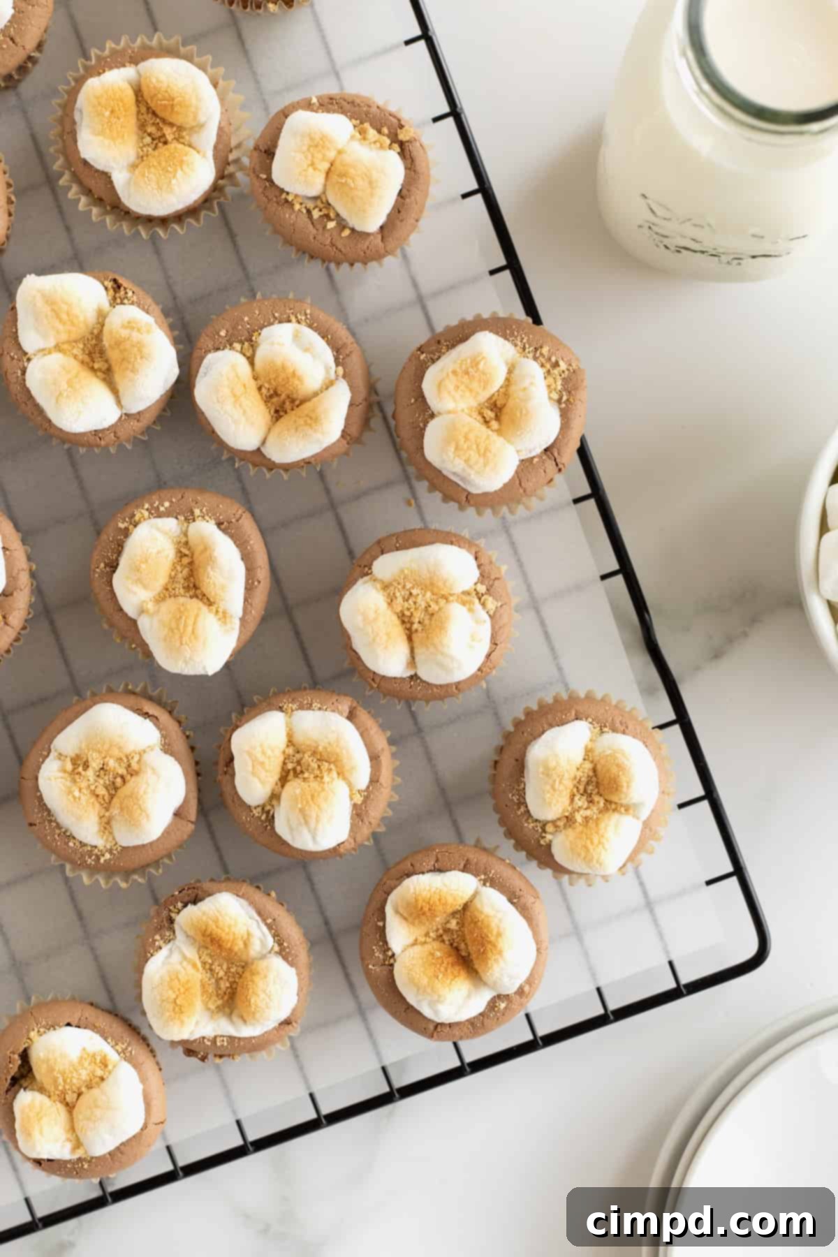 Bite sized s'mores cheesecakes with a toasted marshmallow top on a wire cooling rack.