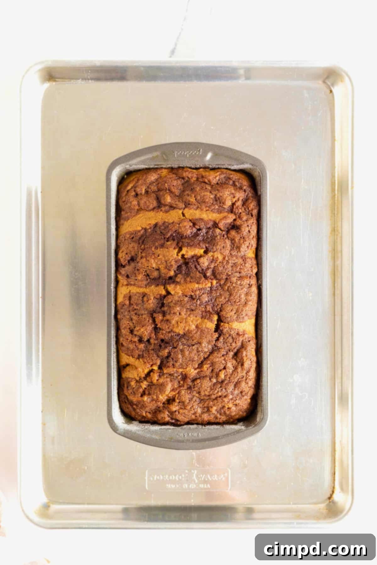 A freshly baked loaf of cinnamon swirled pumpkin bread, still in its aluminum loaf pan, resting on a rimmed baking sheet.