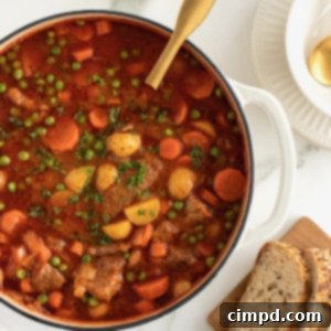 The Best Beef Stew by The BakerMama
