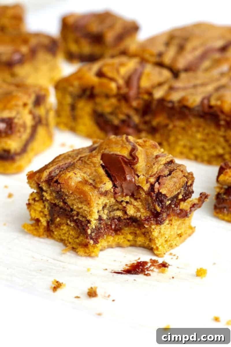 Moist Nutella Swirled Pumpkin Cake Bars, perfect for fall and winter celebrations.