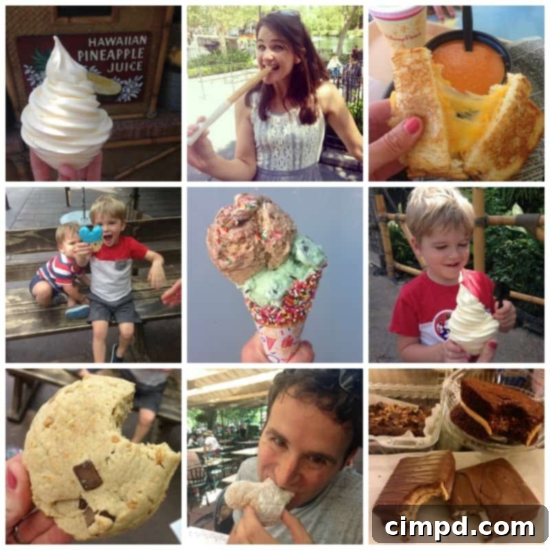 Disneyland Eats and Treats - Collage of Disney food