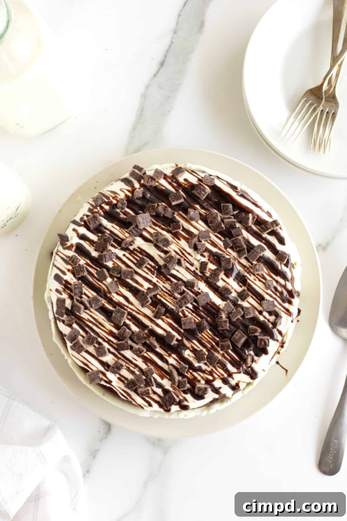 The fully decorated Mint Chocolate Chip Ice Cream Cake with whipped topping, chocolate syrup, and chopped mint candies.