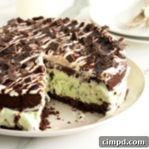 An ice cream cake with a chocolate cookie bottom and mint chocolate chip ice cream in the middle.