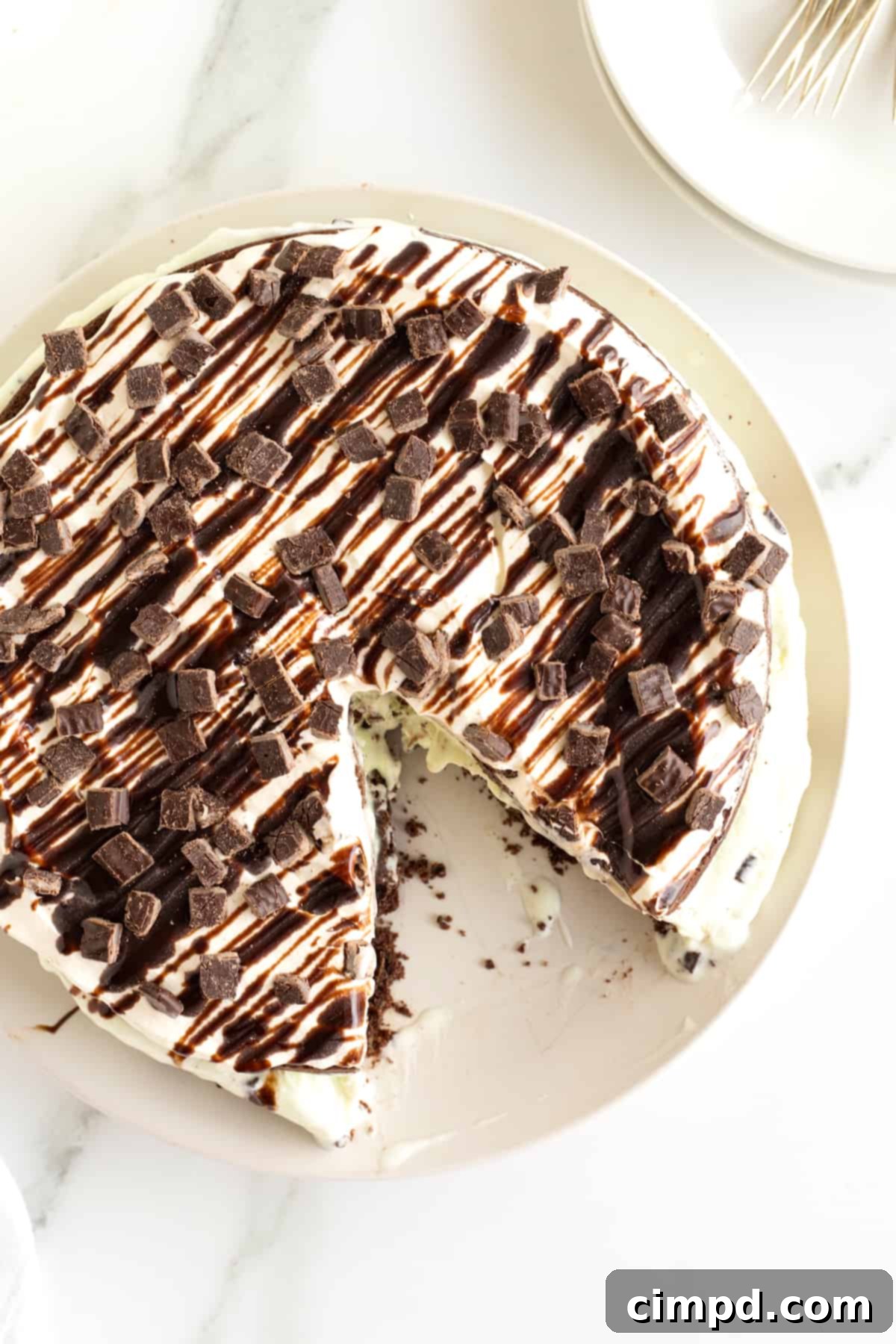 A close-up shot of the Mint Chocolate Chip Ice Cream Cake, showcasing the mint ice cream texture and chocolate chips.