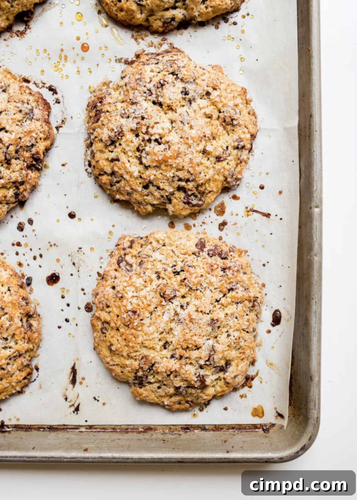 Chocolate Chunk Scones by The BakerMama