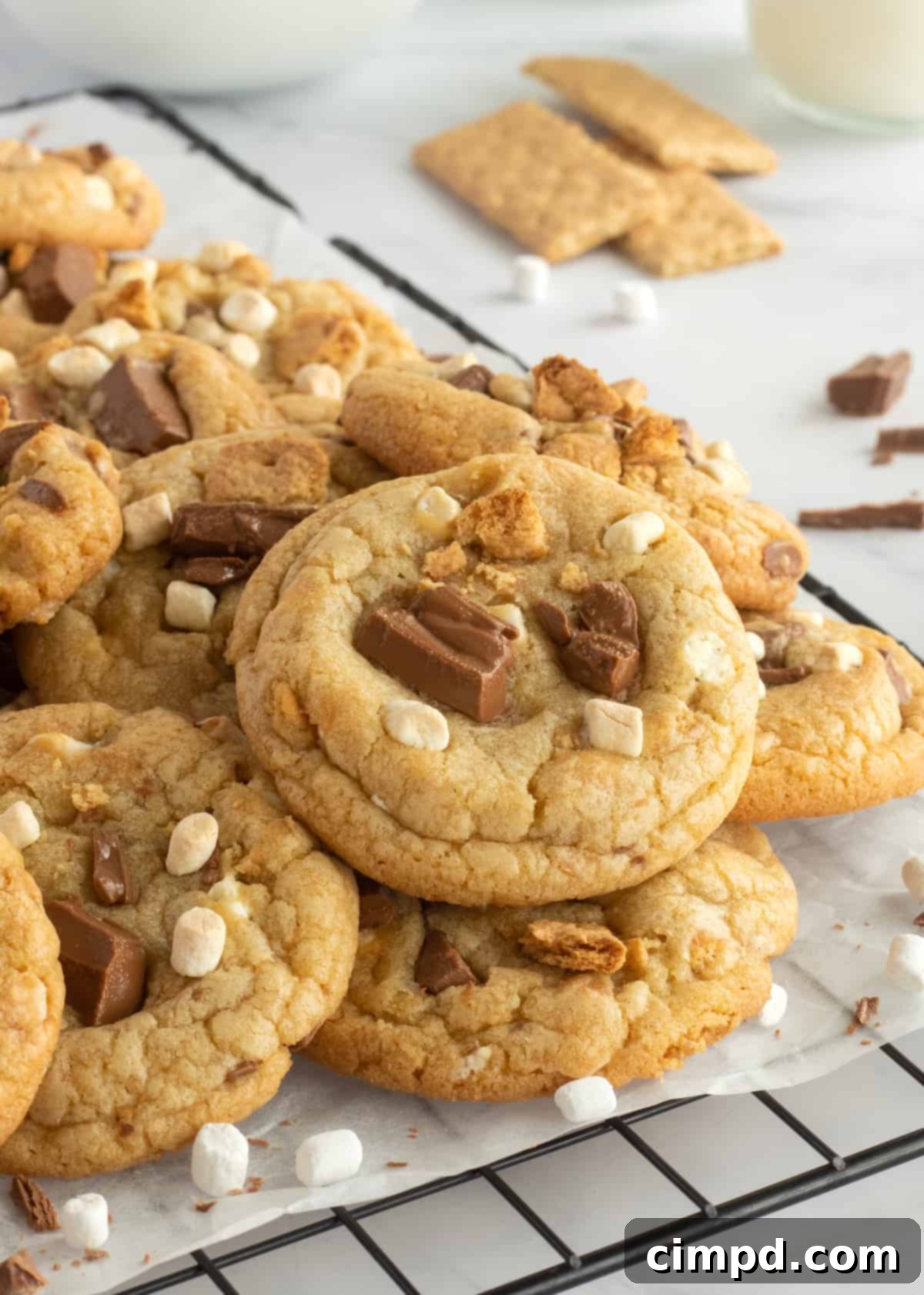 Dreamy Smores Pudding Cookies 2 Irresistibly chewy S'mores Pudding Cookies on a cooling rack, showcasing melted chocolate and toasted marshmallows.