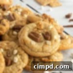 Dreamy Smores Pudding Cookies 11 S'mores Pudding Cookies by The BakerMama