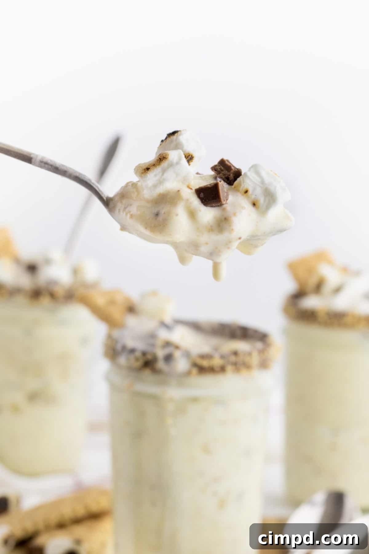 Finished Homemade S'mores Blizzard in a chocolate and graham cracker rimmed glass