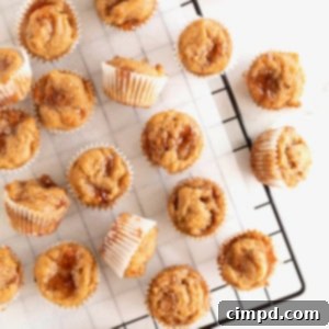 Peanut Butter and Jelly Muffin Bites 12 Peanut butter and jelly muffins lying on a parchment lined metal cooling rack.