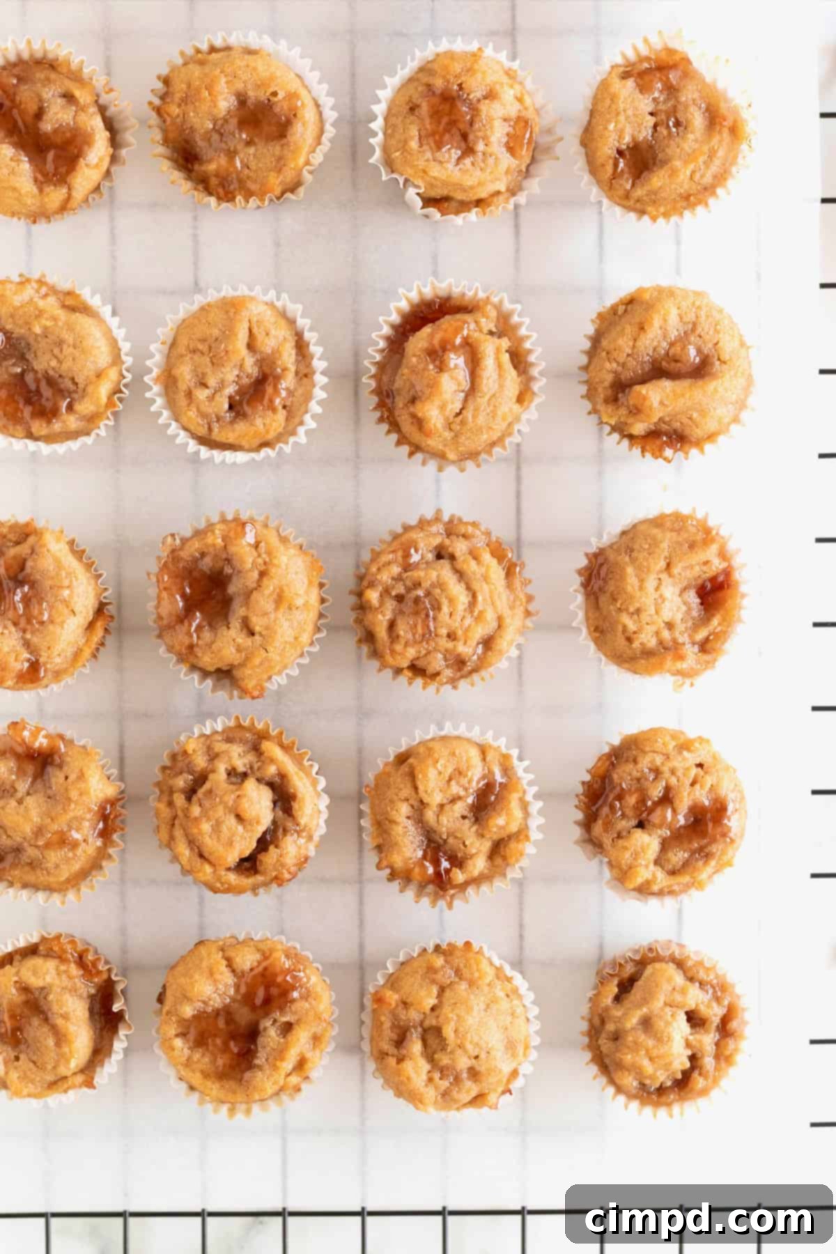 Peanut Butter and Jelly Muffin Bites 10 Mini Peanut butter and jelly muffins on a parchment lined cooling rack.