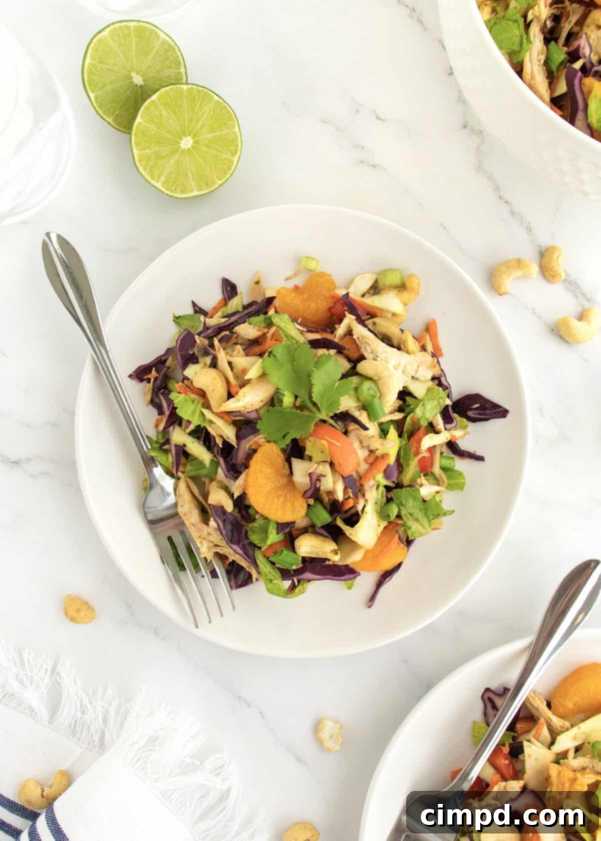 Ginger Sesame Chicken Salad 3 Close-up of Asian Chopped Chicken Salad showing fresh ingredients