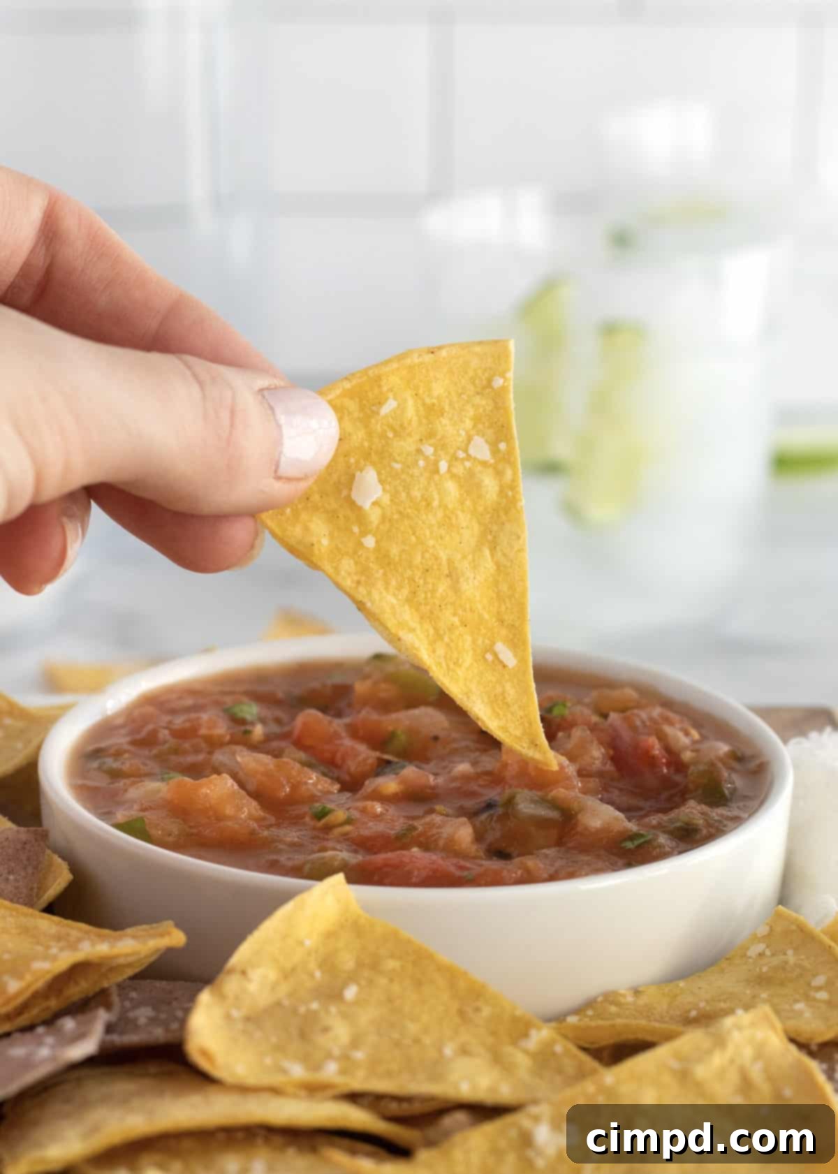 Freshly Baked Corn Tortilla Chips for Snacking